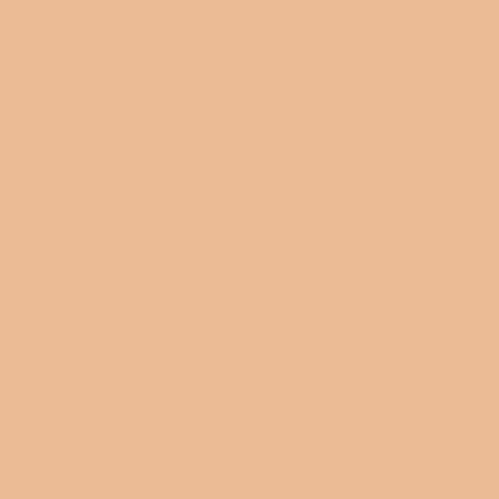 SHADE 1 - LIGHTEST